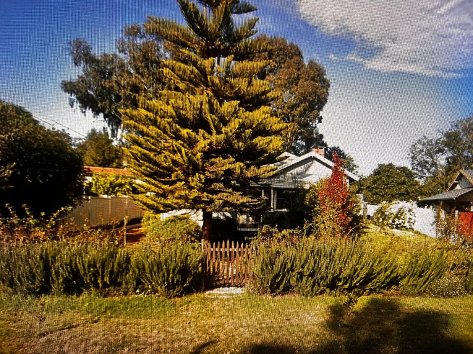 Affordable Country Living with Strong Investment Appeal in Boddington