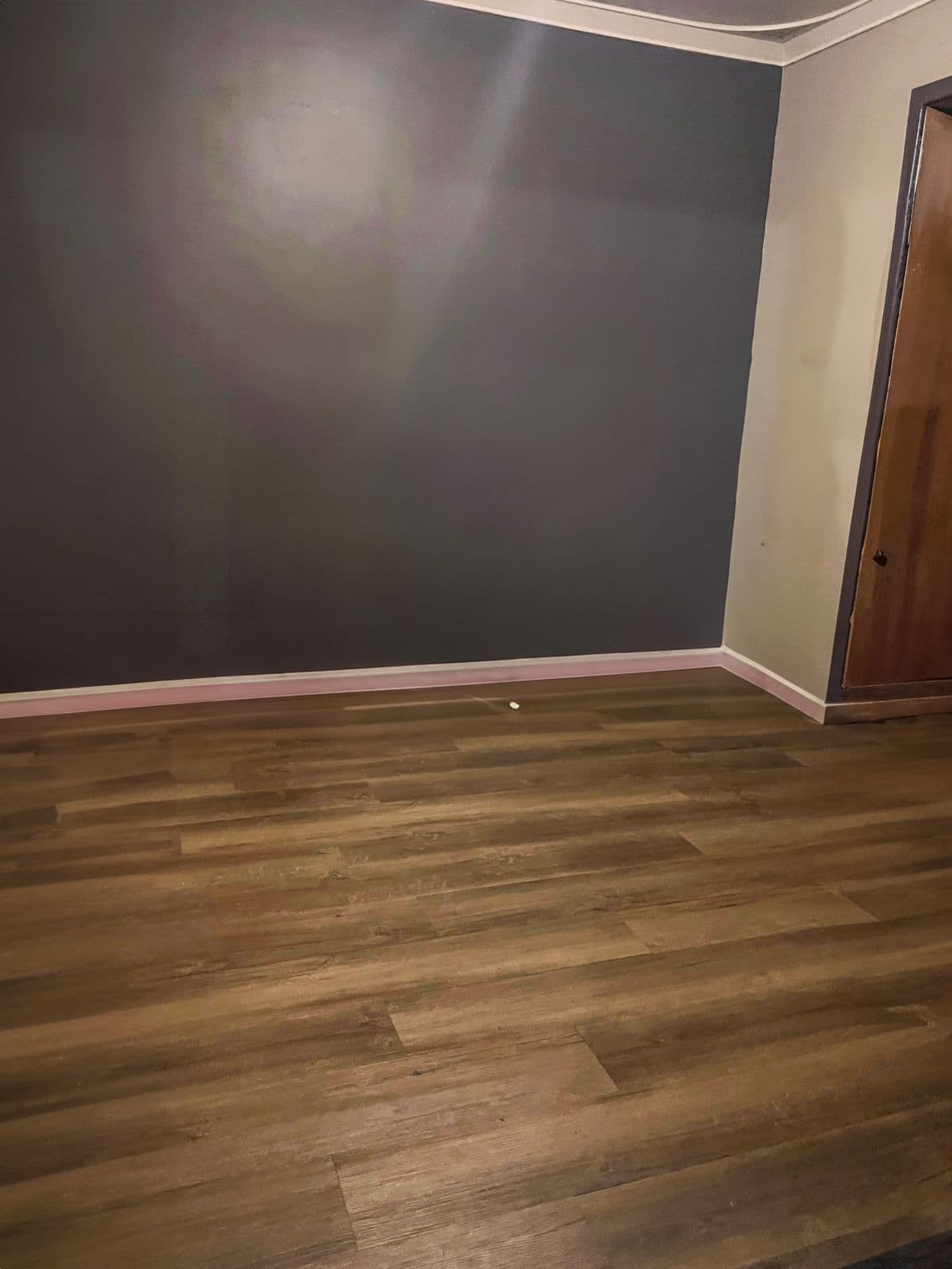 Rare Opportunity in Calista: 3 Bed, 1 Bath House on Quiet Cul-de-Sac — photo 4